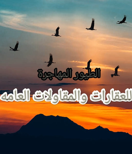 IMG ٢٠٢٣٠٩٠٢ ١٩٤٦٥٨.jpg