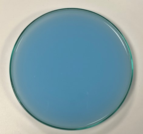 BZ ype dilute blue W5.jpg