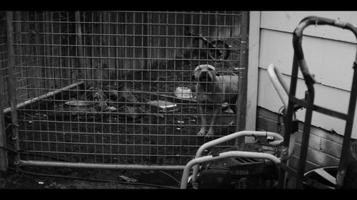 ONEFOUR Against All Odds (2023) [1080p].mkv snapshot 01.00.16.000.jpg