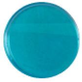 HDL MX Foca mar23.png