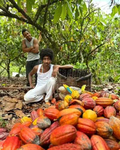 snapinsta.app 392855533 18388375744024651 680216426555578993 n 1080 1 .webp