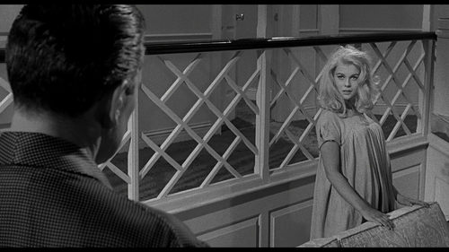 vlcsnap 2023 10 26 15h43m30s729.png