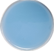 MX suavitel complete f primavera w4.png