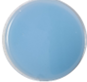 MX suavitel complete f primavera w3.png