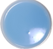 MX suavitel superior f primavera w4.png