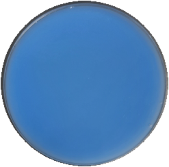 MX suavitel complete f primavera W5.png