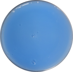 MX suavitel superior f primavera W5.png