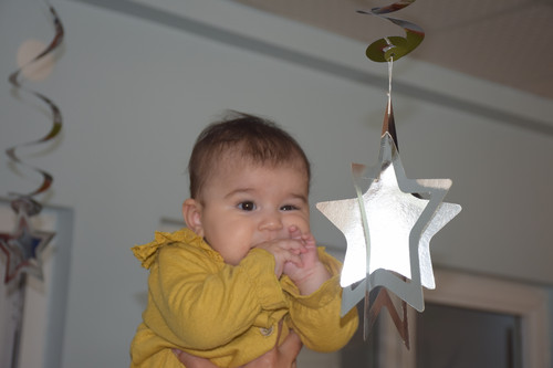 DSC 3444.jpg