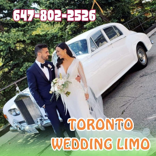 https://www.gtaweddinglimo.com - We offer affordable wedding limo and party bus services in Toronto and let you celebrate the big day with full zeal and zest.

ADDRESS: 63 Louvain Drive, Brampton, ON L6P 1Y9, Canada

Contact: 647-802-2526