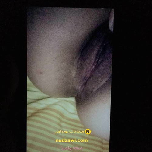 minilien img 2890 292023 10 24 00 52 06