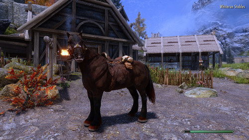 Vanilla Saddle Cloak.jpg