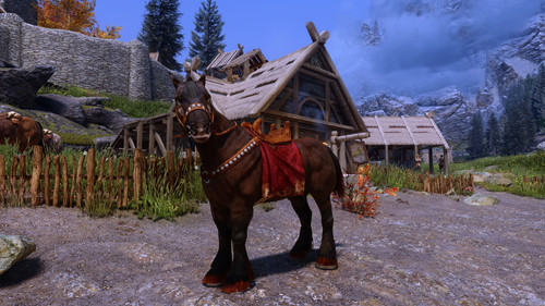 Saddle Cloak.jpg