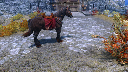 New Cloak Saddle.jpg