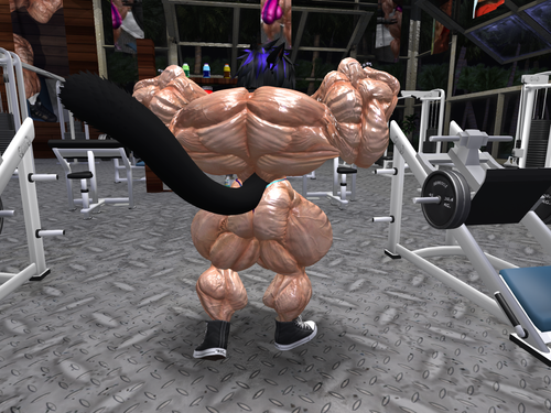 Snapshot 063 006.png
