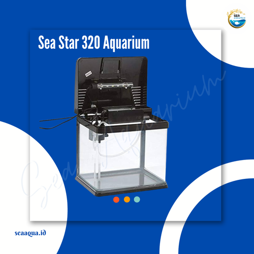 Sea Star 320.png