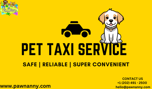 Pet Taxi Service.png