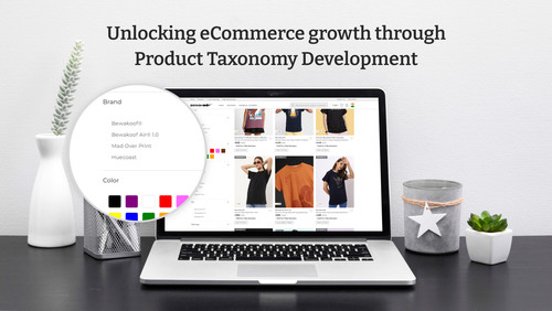 Product Taxonomy Development.jpg