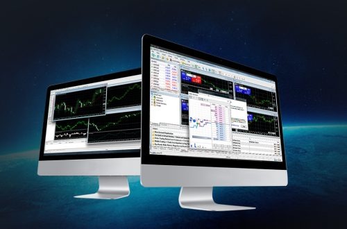 Grey label vs white label.jpg