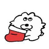 mmexport1698215630132.gif