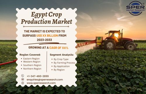 Egypt Crop Production Market.jpg