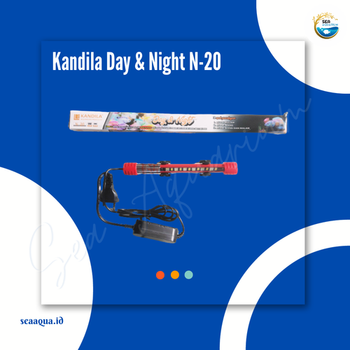Kandila N 20.png