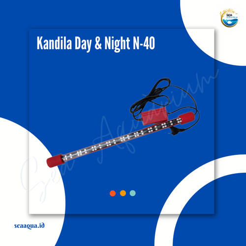 Kandila N 40.png