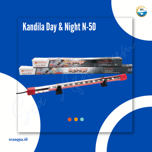 Kandila N 50.png