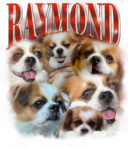 Raymond.png