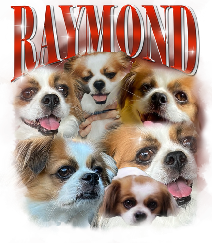Raymondd.png