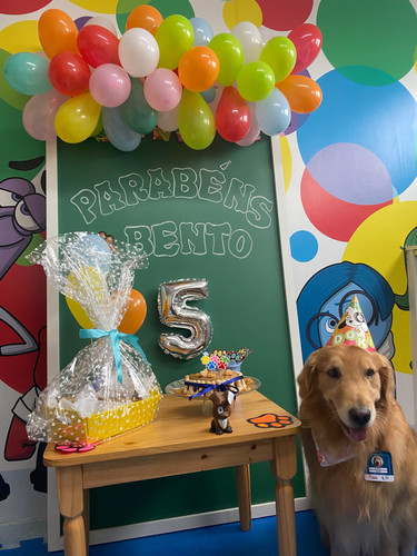 3a2797c0 14ed 45e0 8ab6 08d018c9a78e.jpg