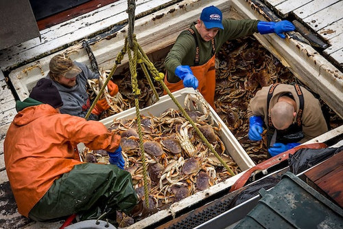 Anacortes commercial crabbing.jpg