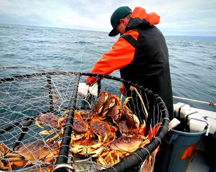 STC L FISHRAP 1111 01 e1668109022972.jpg