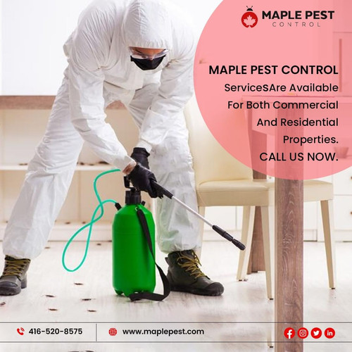 287197494 1101381673789787 5543982471409787312 n.jpg