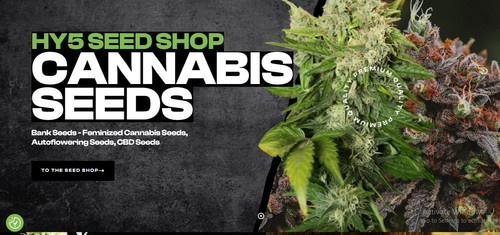 Lemon Haze Strain.jpg