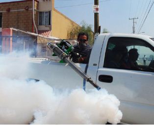 Pest control nesconset | Lipestservices.com.jpg