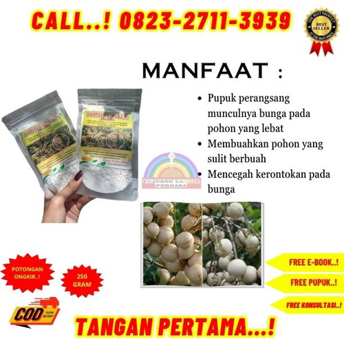 HARGA GROSIR! H.Tovix CALL 0823-2711-3939 Jual Booster Kelengkeng Kclo3 ke Kebumen-Ambal-Pucangan.jpg