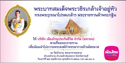 392887055 24189159404031090 5497312861663156264 n.jpg