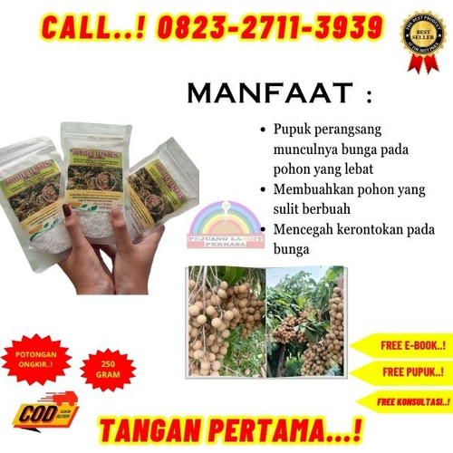 TERPERCAYA! H.Tovix CALL 0823-2711-3939 Jual Booster Kelengkeng Nusantara ke Kebumen-Ambal-Sidoluhur.jpg