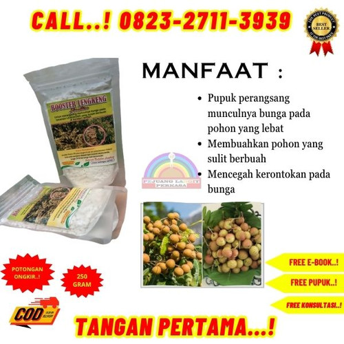 TER-AMPUH ! H.Tovix CALL 0823-2711-3939 Jual Booster Kelengkeng Farmpion ke Kebumen-Ambal-Plempukank.jpg