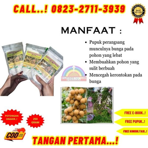 BISA COD! H.Tovix CALL 0823-2711-3939 Jual Booster Kelengkeng New Kristal ke Kebumen-Ambal-Sidareja.jpg