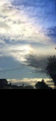 Screenshot 20231023 182502 Gallery.jpg