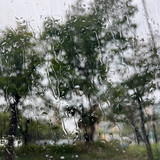 August 28, 2023 SION 2