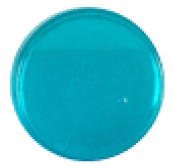 HDL MX Mas Color mar23.png