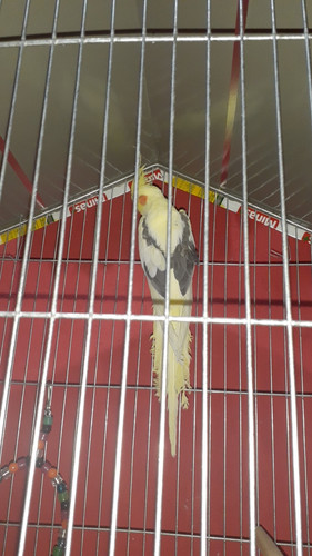 Snapchat 388581160.jpg