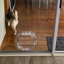 Glass Pet Door Replacement In Adelaide.jpg