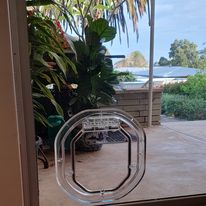 Glass Pet Door Repair.jpg