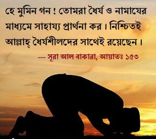 IMG 20231018 081157.jpg