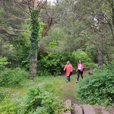 IMG 20230615 135402