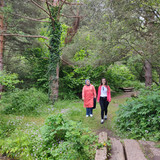 IMG 20230615 135405