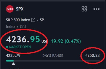 tsla 8223.jpg
